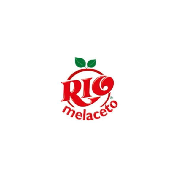LAVAPAVIMENTI RIO CASAMIA 1,25LT  MELACETO - immagine 4