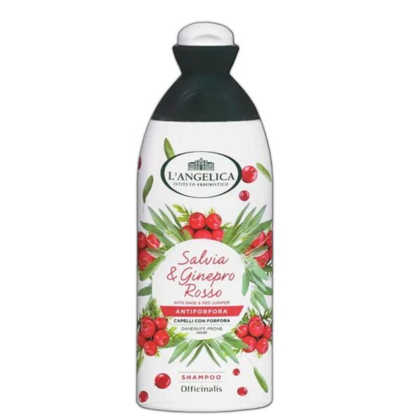 SHAMPOO L'ANGELICA 250ML ANTIFORFORA