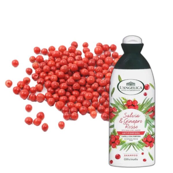 SHAMPOO L'ANGELICA 250ML ANTIFORFORA - immagine 2