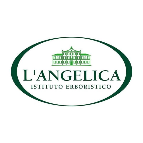 SHAMPOO L'ANGELICA 250ML ANTIFORFORA - immagine 4