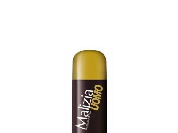 SCHIUMA BARBA MALIZIA 300ML ARGAN KARITE - immagine 2