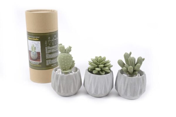 DIFFUSORE ESSENZE GESSO CON PIANTA ASS.