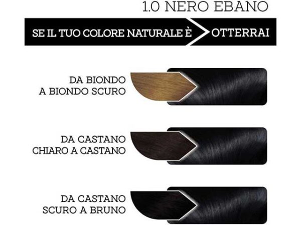 COLORAZIONE CAPELLI PROVOST NERO EBANO - immagine 4