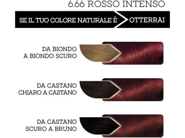 COLORAZIONE CAPELLI PROVOST ROSSO INTENS - immagine 4