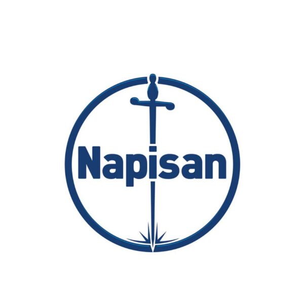 DISINFETTANTE NAPISAN SPRAY 400ML  FRESCO PULITO - immagine 4