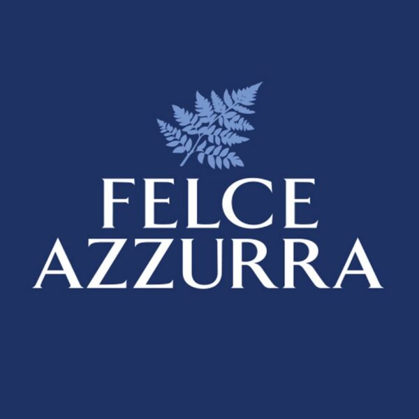 AMMORBIDENTE CONCENTRATO FELCE AZZURRA 45 LAVAGGI 900ML ARGAN - immagine 4