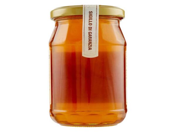 MIELE DI MILLEFIORI GR.500 APICOLT.PIANA - immagine 3