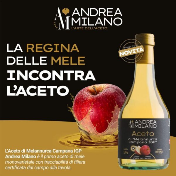 ACETO DI MELANNURCA CAMPANA   ANDREA MILANO 500ML IGP - immagine 3