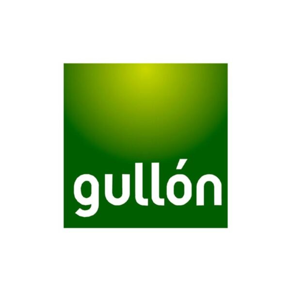 BISCOTTI GULLON 220GR SENZA GLUTINE  AVENA E GOCCE DI CIOCCOLATO - immagine 4