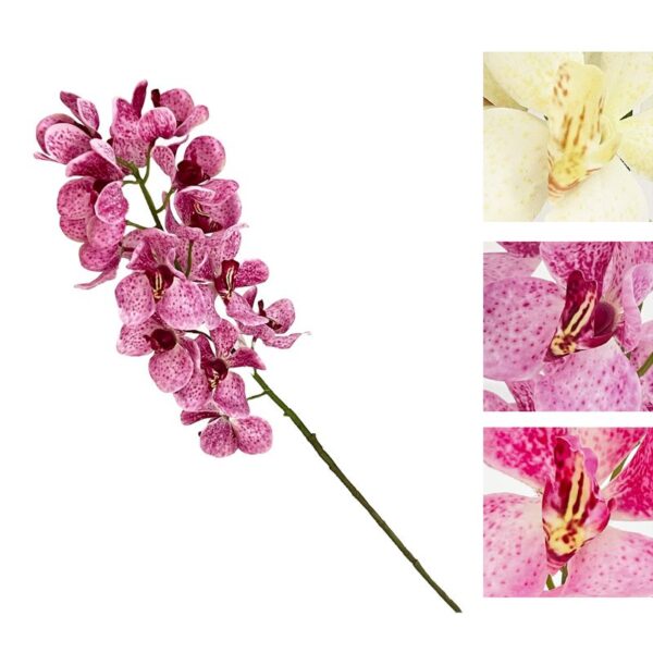 STELO ORCHIDEA 16 FIORI COLORI ASS.