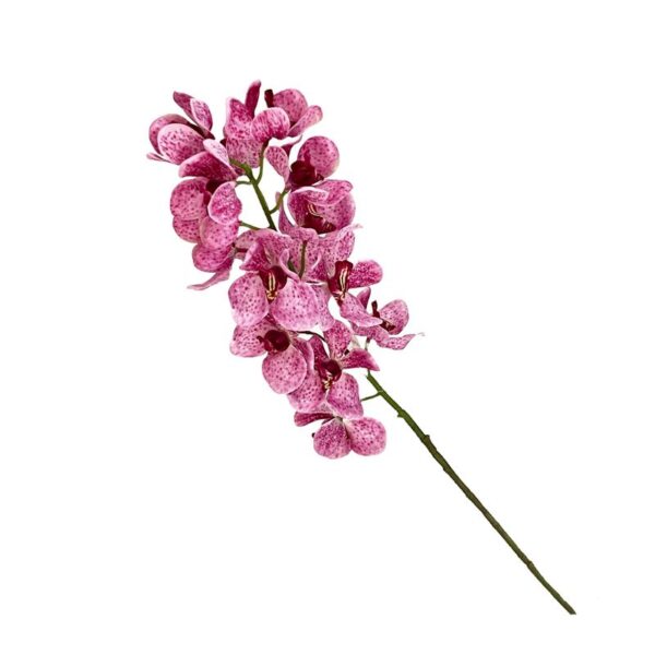 STELO ORCHIDEA 16 FIORI COLORI ASS. - immagine 2