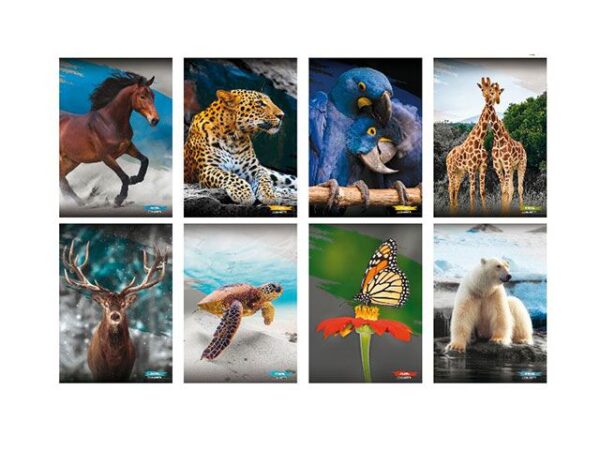 QUADERNO MAXI ANIMAL RIG.C