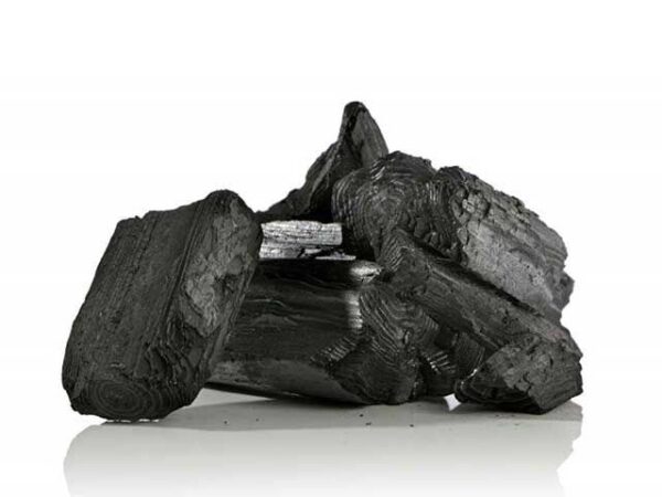 CARBONE 2,5KG VEGETALE SACCHETTO - immagine 3