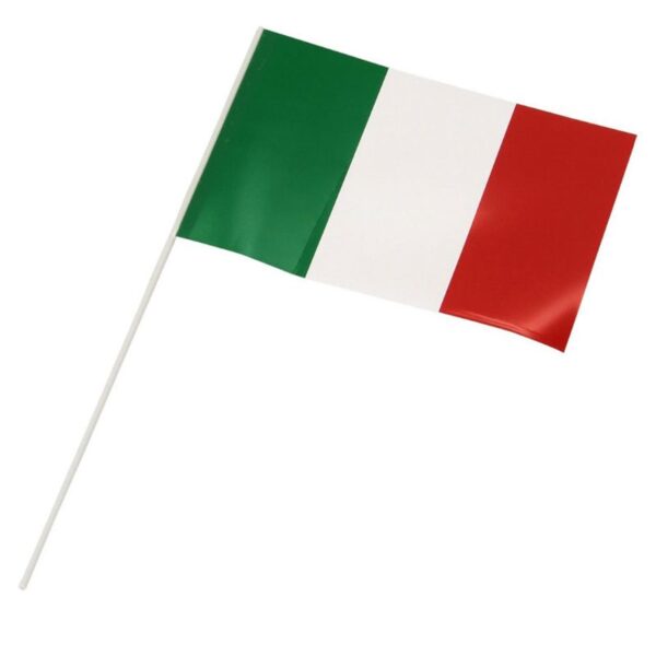 ASTA PLASTICA - immagine 2