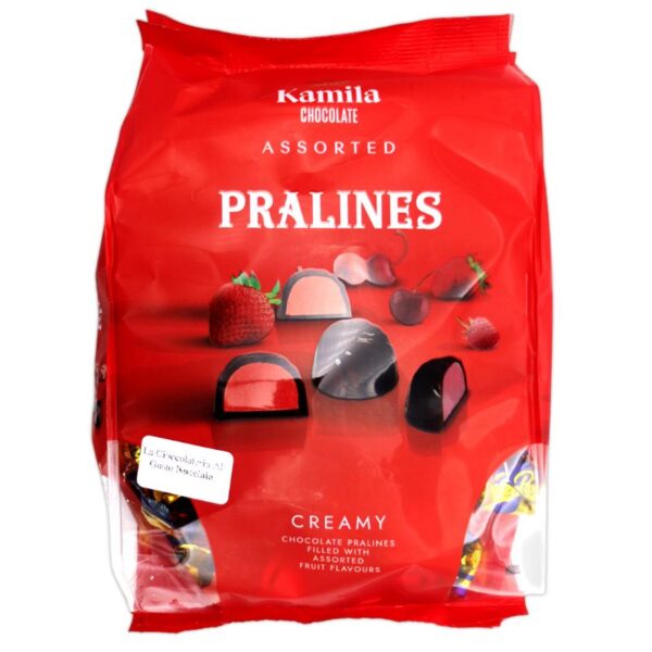 PRALINE KAMILA 500G NOCCIOLA