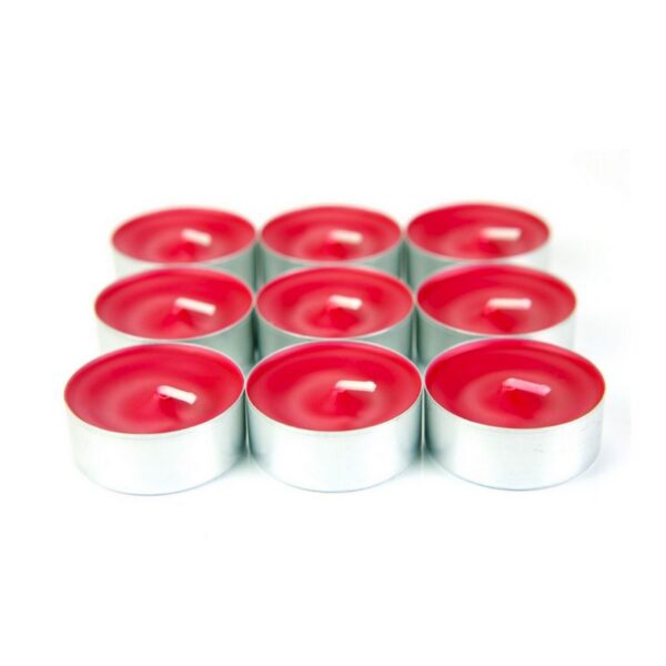 CONFEZIONE REGALO TEALIGHT 12PZ  APPLE E CINNAMON - immagine 3