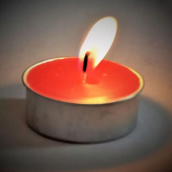 CONFEZIONE REGALO TEALIGHT 12PZ  APPLE E CINNAMON - immagine 4